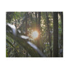 EYNF - Canvas Gallery Wraps - Sunset in the Sierra Palm forest - Tradewinds trail - El Yunque rainforest PR - Green Forest Home