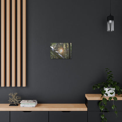 EYNF - Canvas Gallery Wraps - Sunset in the Sierra Palm forest - Tradewinds trail - El Yunque rainforest PR - Green Forest Home
