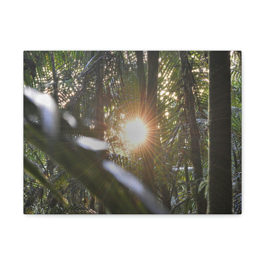 EYNF - Canvas Gallery Wraps - Sunset in the Sierra Palm forest - Tradewinds trail - El Yunque rainforest PR - Green Forest Home