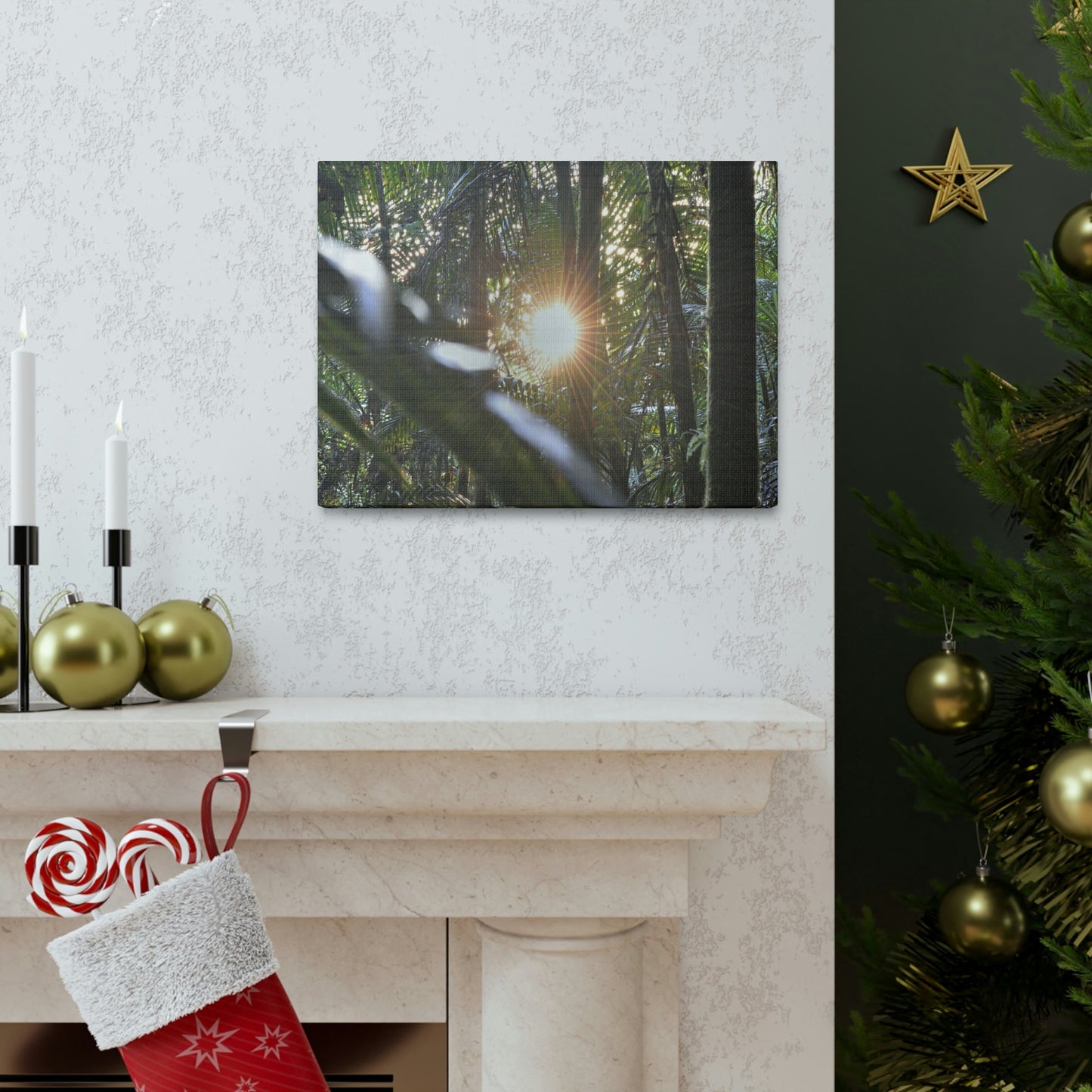 EYNF - Canvas Gallery Wraps - Sunset in the Sierra Palm forest - Tradewinds trail - El Yunque rainforest PR - Green Forest Home