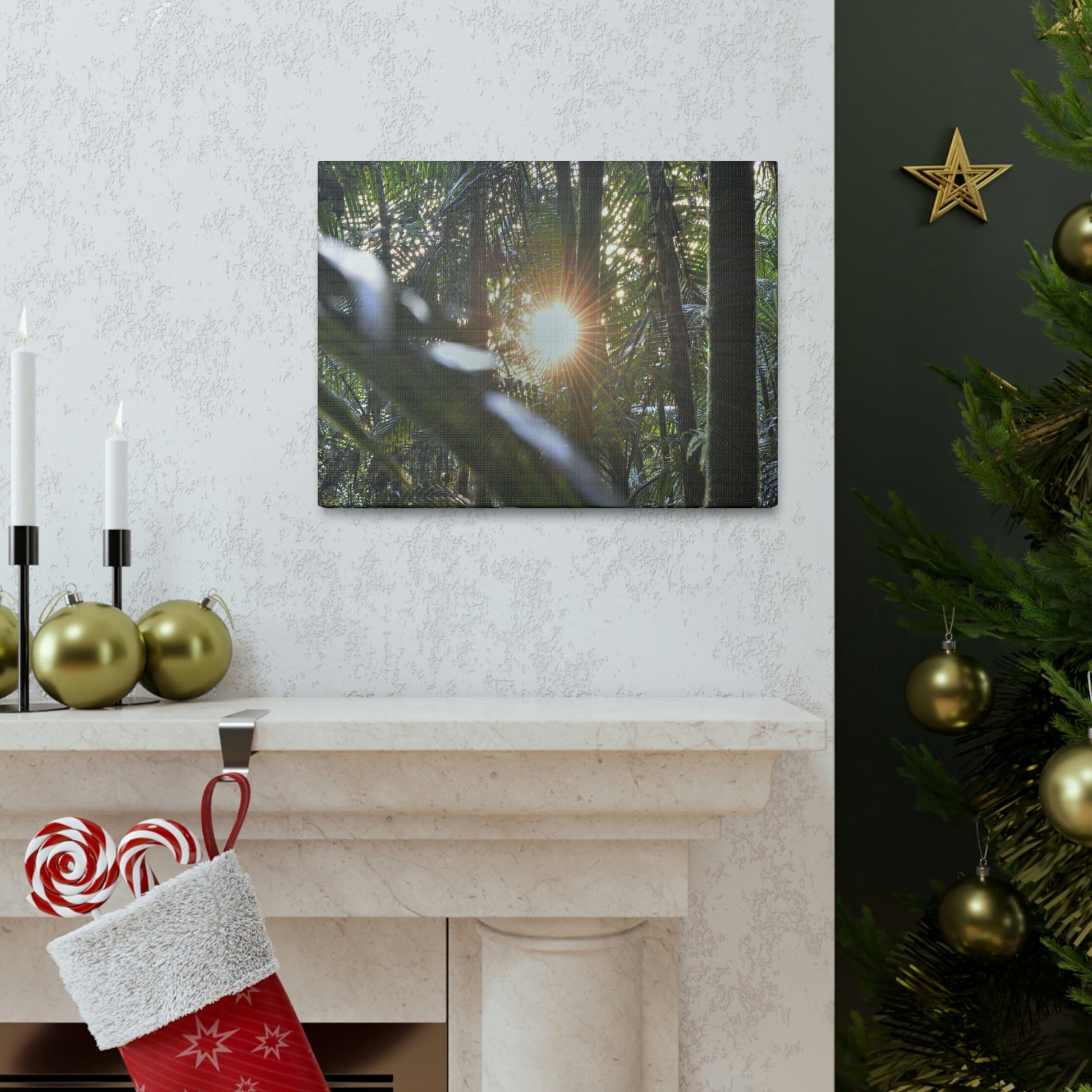 EYNF - Canvas Gallery Wraps - Sunset in the Sierra Palm forest - Tradewinds trail - El Yunque rainforest PR - Green Forest Home