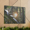 EYNF - Canvas Gallery Wraps - Sunset in the Sierra Palm forest - Tradewinds trail - El Yunque rainforest PR - Green Forest Home