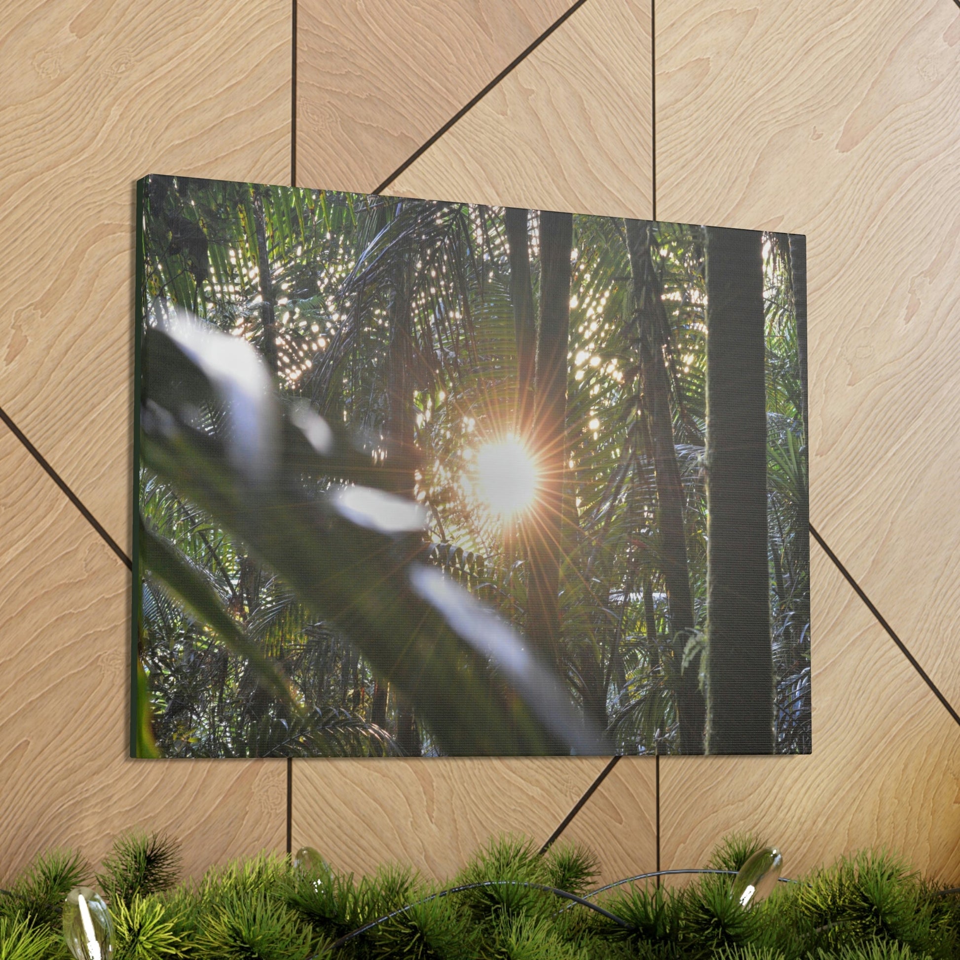 EYNF - Canvas Gallery Wraps - Sunset in the Sierra Palm forest - Tradewinds trail - El Yunque rainforest PR - Green Forest Home