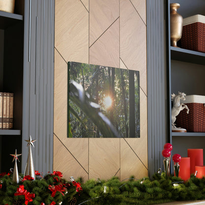 EYNF - Canvas Gallery Wraps - Sunset in the Sierra Palm forest - Tradewinds trail - El Yunque rainforest PR - Green Forest Home