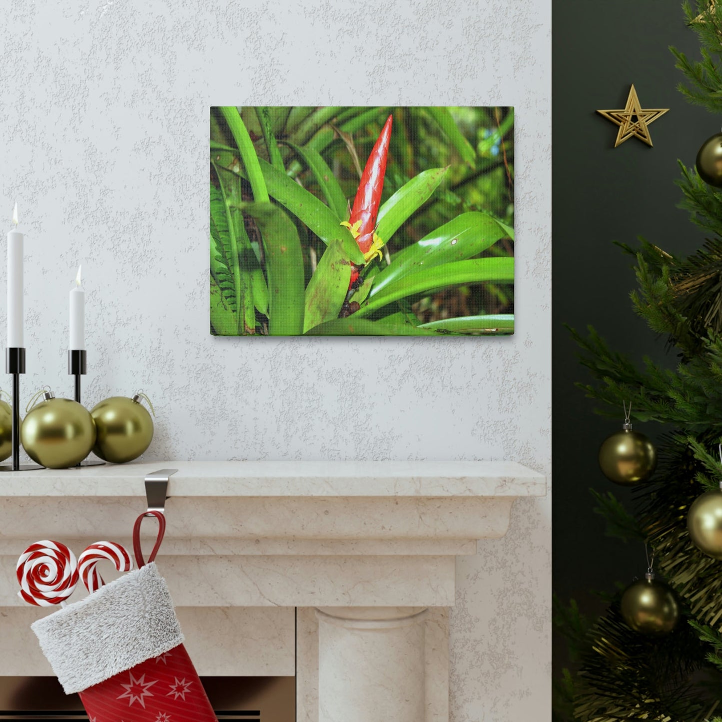 EYNF - Canvas Gallery Wraps - The Bromeliad in flower - Tradewinds - El Yunque rainforest PR - Green Forest Home