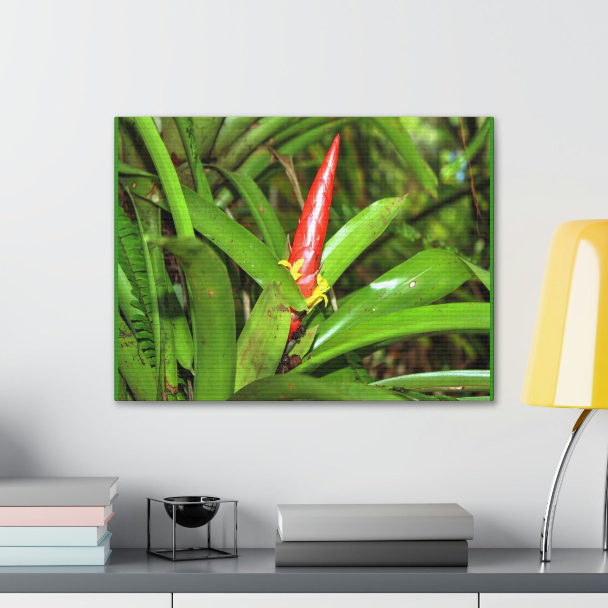EYNF - Canvas Gallery Wraps - The Bromeliad in flower - Tradewinds - El Yunque rainforest PR - Green Forest Home