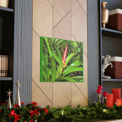 EYNF - Canvas Gallery Wraps - The Bromeliad in flower - Tradewinds - El Yunque rainforest PR - Green Forest Home