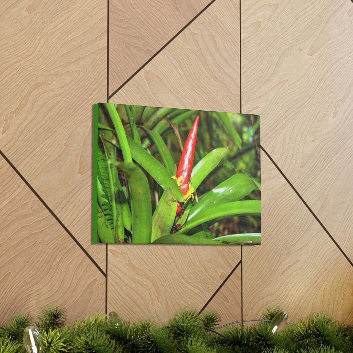 EYNF - Canvas Gallery Wraps - The Bromeliad in flower - Tradewinds - El Yunque rainforest PR - Green Forest Home