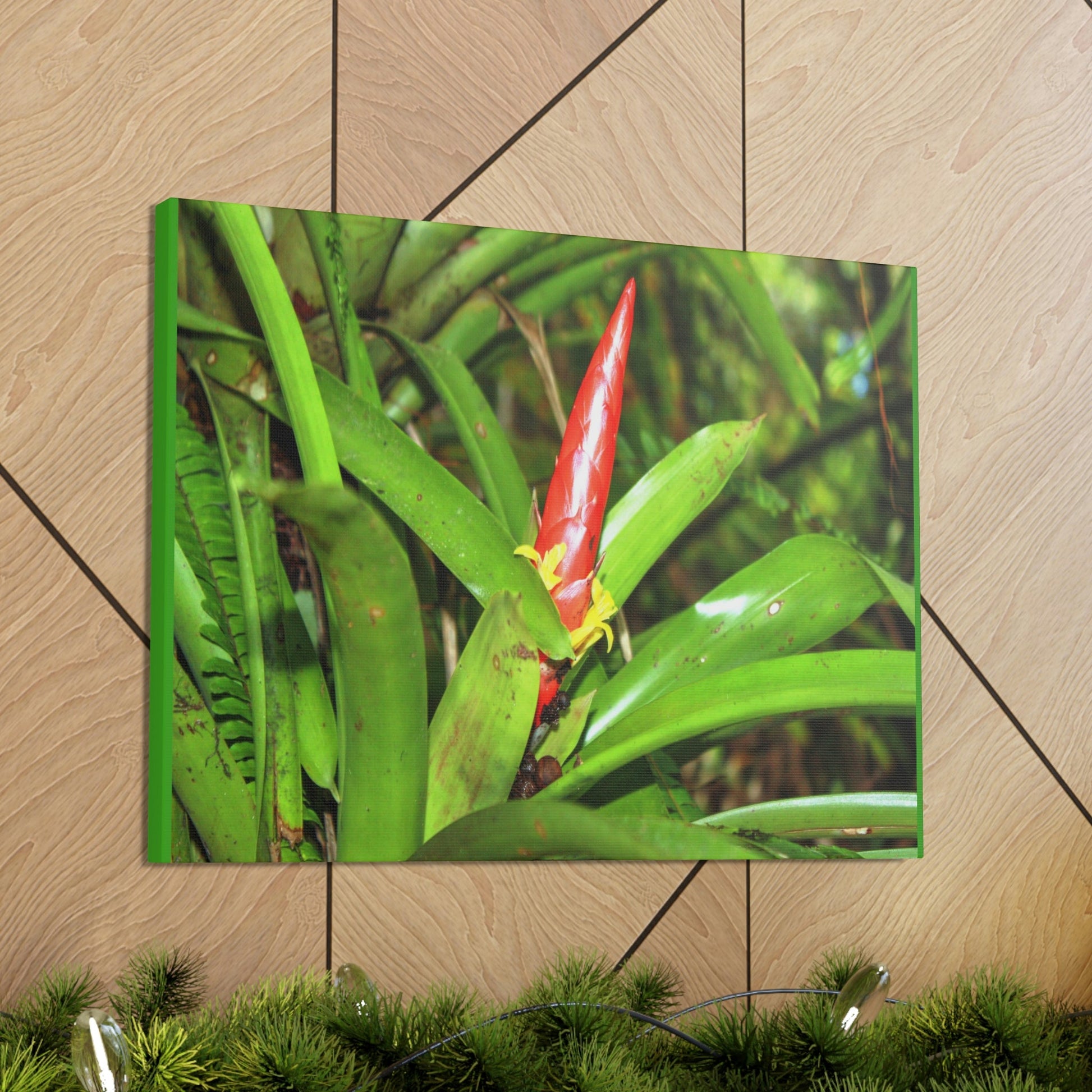 EYNF - Canvas Gallery Wraps - The Bromeliad in flower - Tradewinds - El Yunque rainforest PR - Green Forest Home