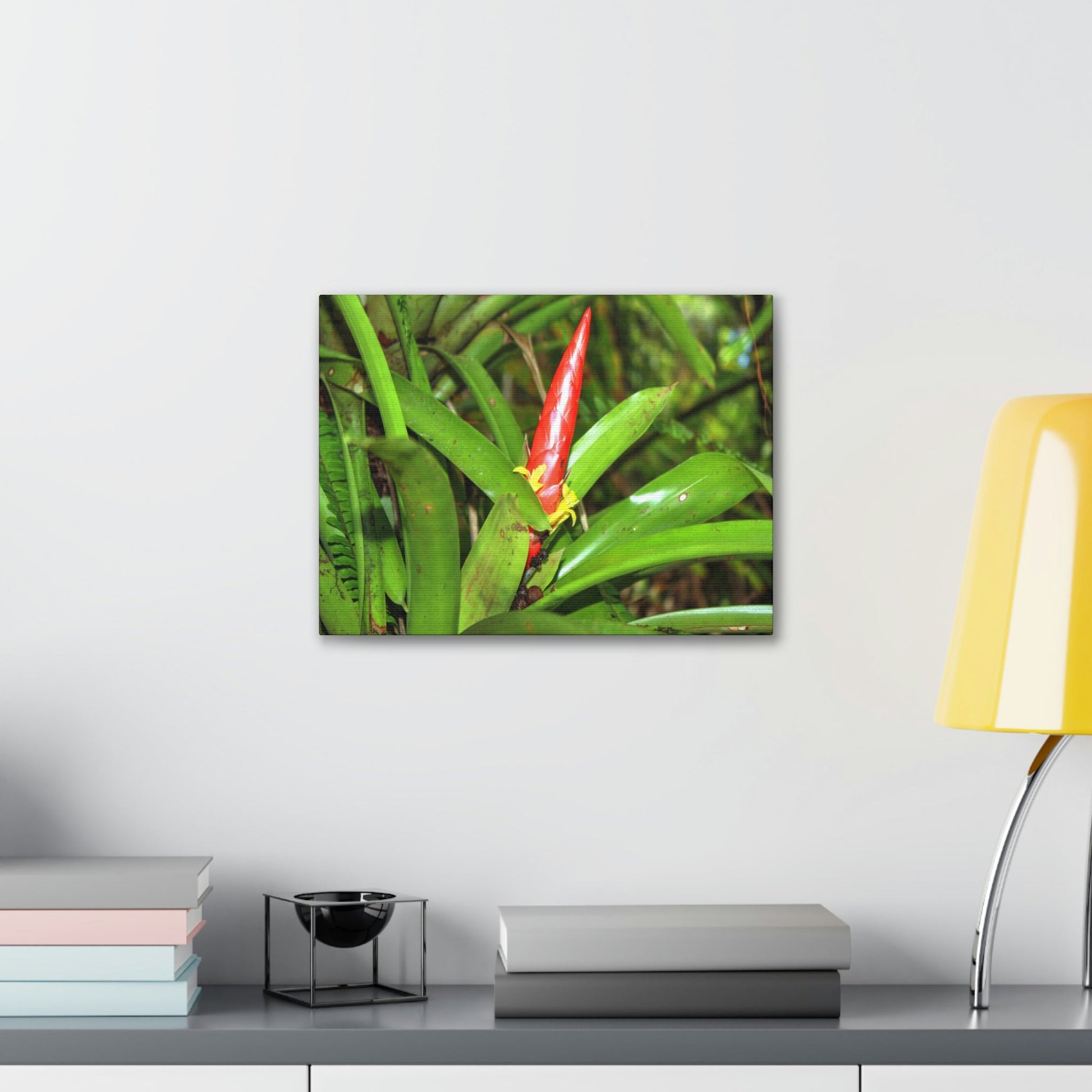EYNF - Canvas Gallery Wraps - The Bromeliad in flower - Tradewinds - El Yunque rainforest PR - Green Forest Home
