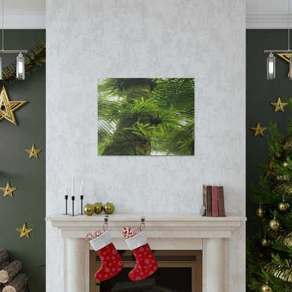 EYNF - Canvas Gallery Wraps - The Bromeliads growing in huge tree - El Yunque rainforest PR - Green Forest Home