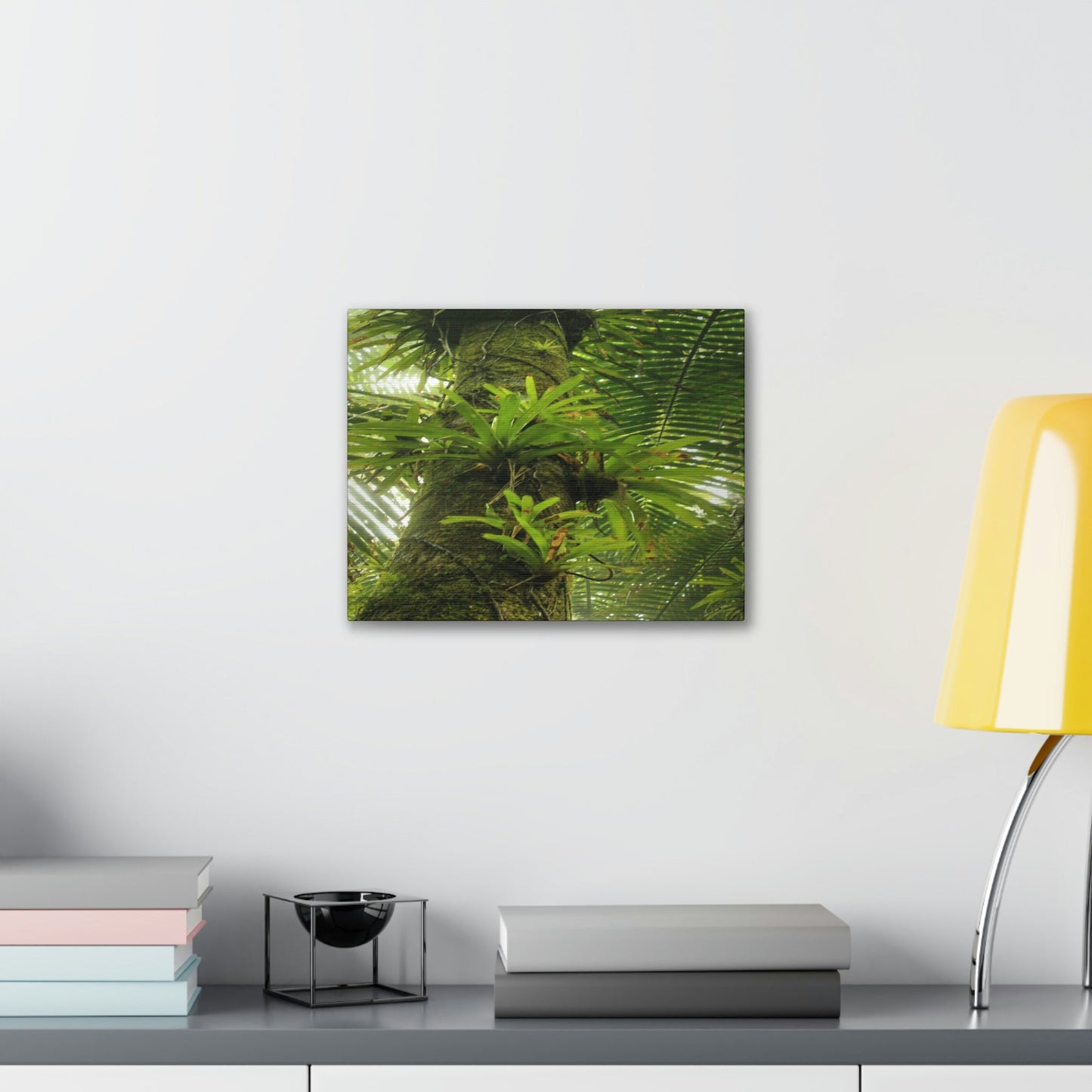 EYNF - Canvas Gallery Wraps - The Bromeliads growing in huge tree - El Yunque rainforest PR - Green Forest Home