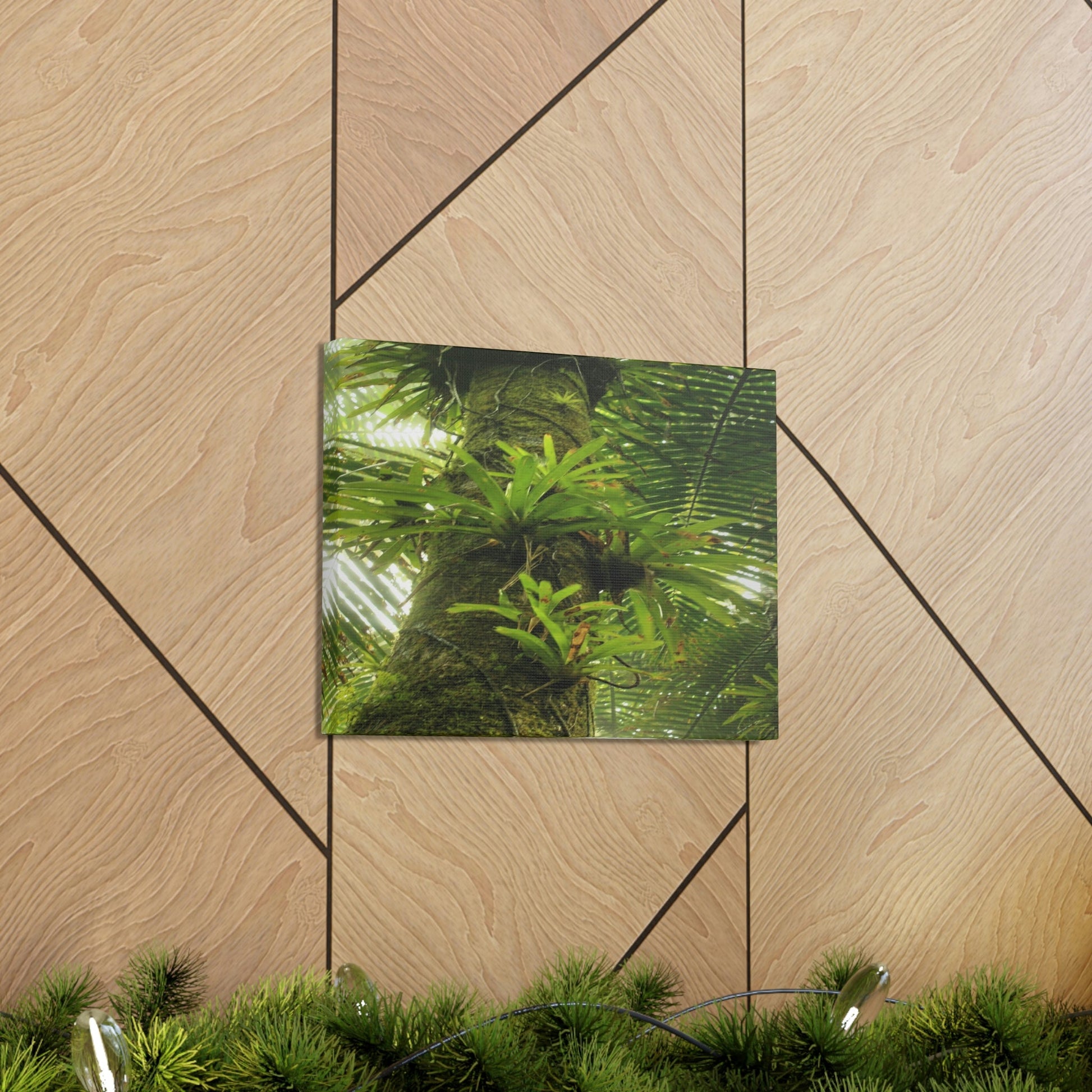 EYNF - Canvas Gallery Wraps - The Bromeliads growing in huge tree - El Yunque rainforest PR - Green Forest Home
