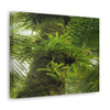 EYNF - Canvas Gallery Wraps - The Bromeliads growing in huge tree - El Yunque rainforest PR - Green Forest Home