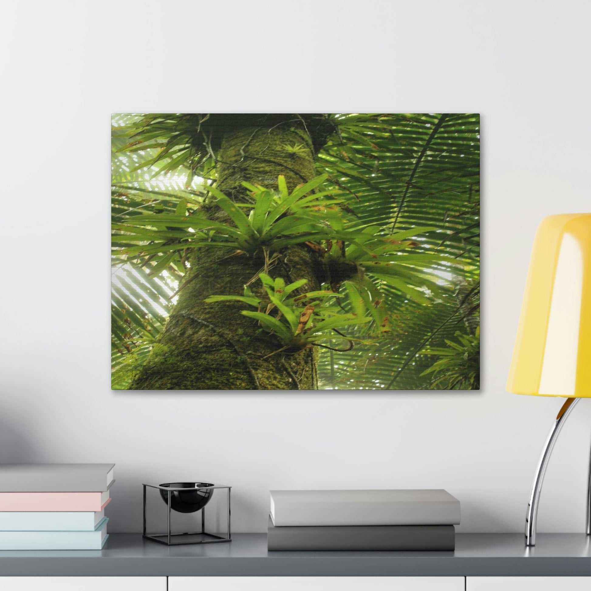 EYNF - Canvas Gallery Wraps - The Bromeliads growing in huge tree - El Yunque rainforest PR - Green Forest Home