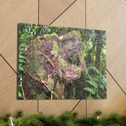 EYNF - Canvas Gallery Wraps - The CRY of DEATH - a decaying trunk close to Tradewinds trail - El Yunque rainforest PR - Green Forest Home