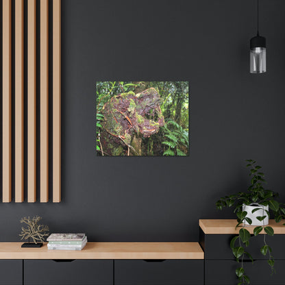 EYNF - Canvas Gallery Wraps - The CRY of DEATH - a decaying trunk close to Tradewinds trail - El Yunque rainforest PR - Green Forest Home
