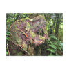EYNF - Canvas Gallery Wraps - The CRY of DEATH - a decaying trunk close to Tradewinds trail - El Yunque rainforest PR - Green Forest Home