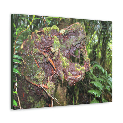 EYNF - Canvas Gallery Wraps - The CRY of DEATH - a decaying trunk close to Tradewinds trail - El Yunque rainforest PR - Green Forest Home