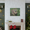 EYNF - Canvas Gallery Wraps - The CRY of DEATH - a decaying trunk close to Tradewinds trail - El Yunque rainforest PR - Green Forest Home