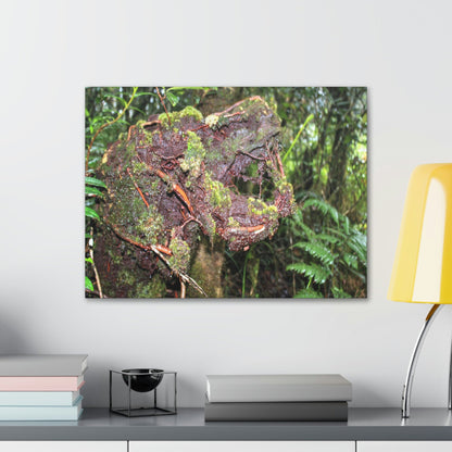 EYNF - Canvas Gallery Wraps - The CRY of DEATH - a decaying trunk close to Tradewinds trail - El Yunque rainforest PR - Green Forest Home