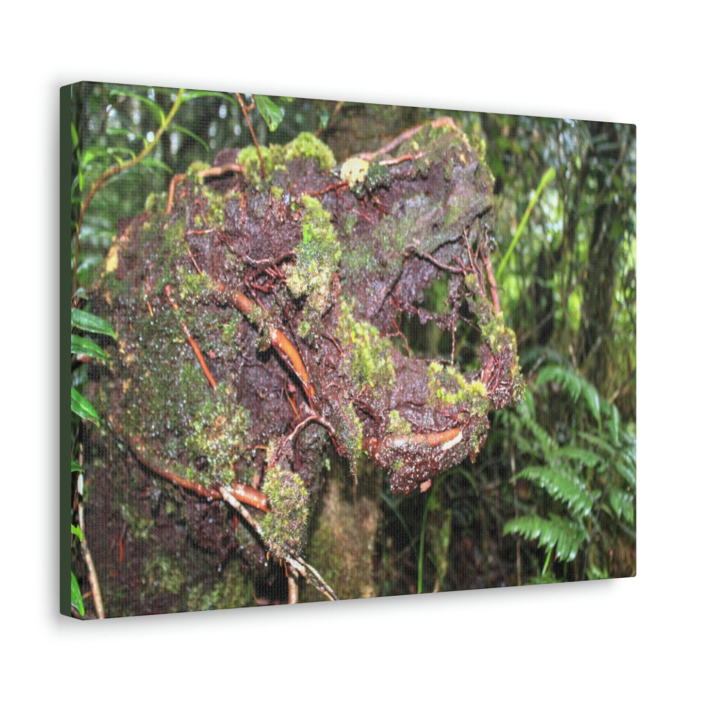 EYNF - Canvas Gallery Wraps - The CRY of DEATH - a decaying trunk close to Tradewinds trail - El Yunque rainforest PR - Green Forest Home