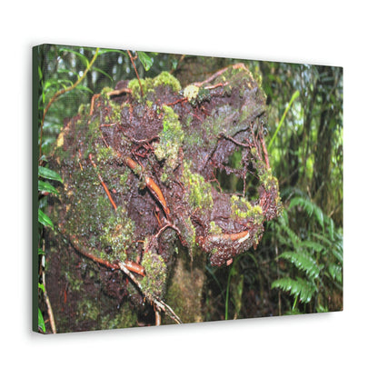 EYNF - Canvas Gallery Wraps - The CRY of DEATH - a decaying trunk close to Tradewinds trail - El Yunque rainforest PR - Green Forest Home