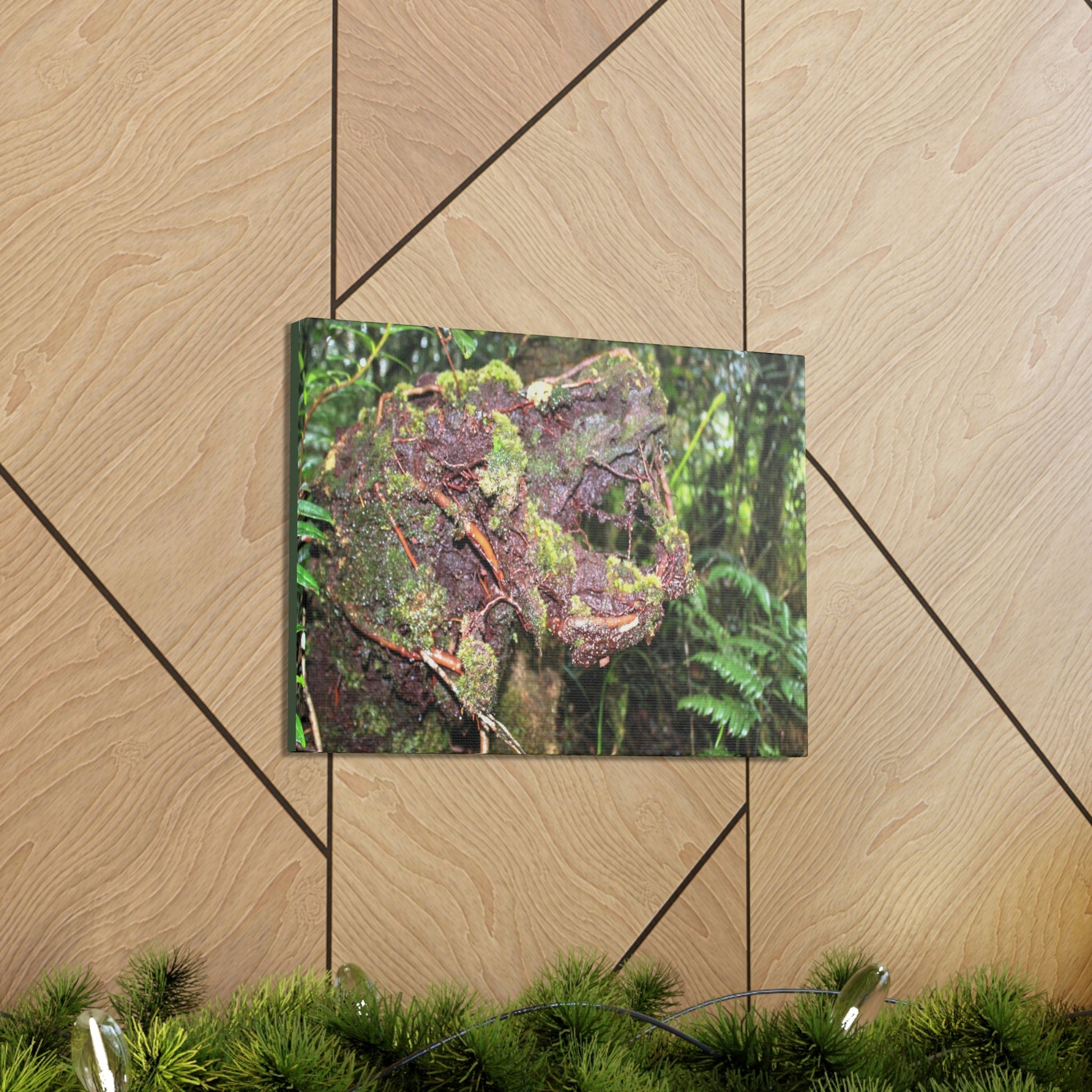 EYNF - Canvas Gallery Wraps - The CRY of DEATH - a decaying trunk close to Tradewinds trail - El Yunque rainforest PR - Green Forest Home
