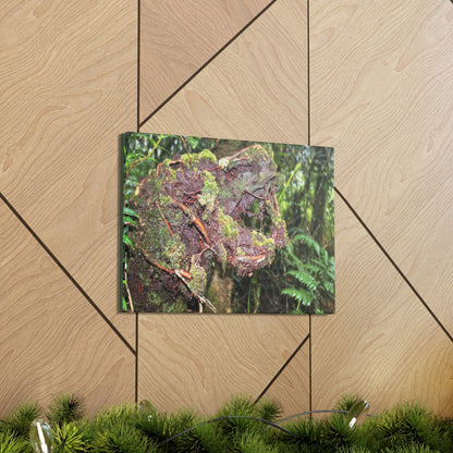 EYNF - Canvas Gallery Wraps - The CRY of DEATH - a decaying trunk close to Tradewinds trail - El Yunque rainforest PR - Green Forest Home