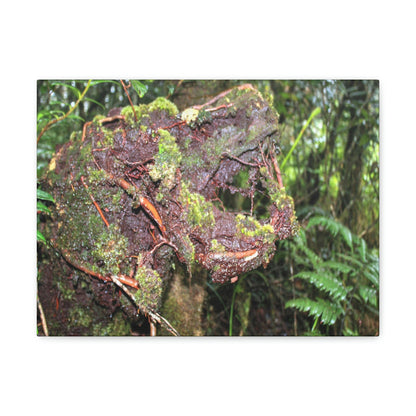 EYNF - Canvas Gallery Wraps - The CRY of DEATH - a decaying trunk close to Tradewinds trail - El Yunque rainforest PR - Green Forest Home