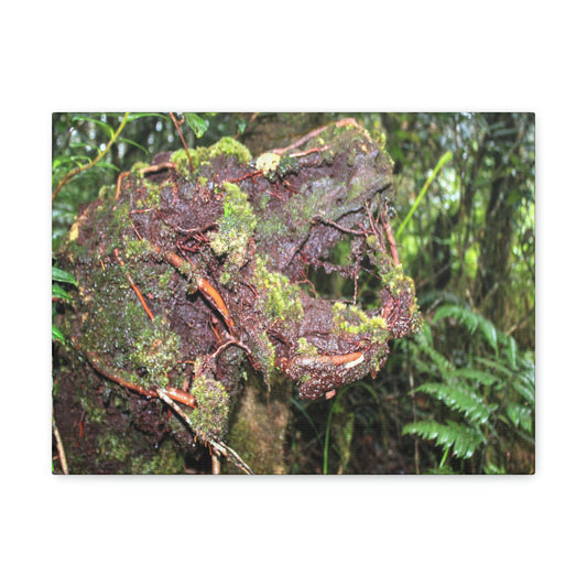 EYNF - Canvas Gallery Wraps - The CRY of DEATH - a decaying trunk close to Tradewinds trail - El Yunque rainforest PR - Green Forest Home