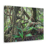 EYNF - Canvas Gallery Wraps - The Dancing trees in Tradewinds trail - El Yunque rainforest PR - Green Forest Home