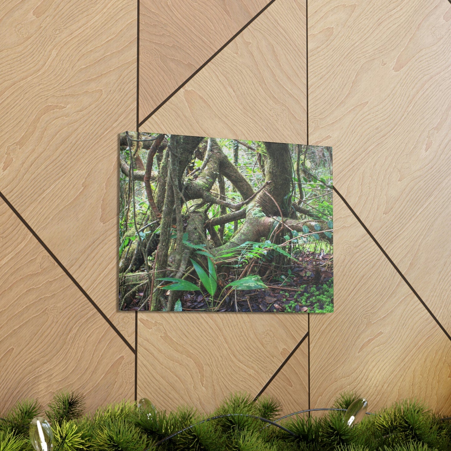 EYNF - Canvas Gallery Wraps - The Dancing trees in Tradewinds trail - El Yunque rainforest PR - Green Forest Home