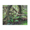 EYNF - Canvas Gallery Wraps - The Dancing trees in Tradewinds trail - El Yunque rainforest PR - Green Forest Home