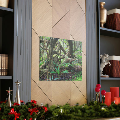 EYNF - Canvas Gallery Wraps - The Dancing trees in Tradewinds trail - El Yunque rainforest PR - Green Forest Home