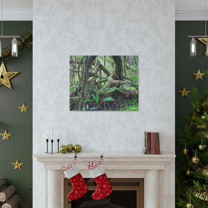 EYNF - Canvas Gallery Wraps - The Dancing trees in Tradewinds trail - El Yunque rainforest PR - Green Forest Home