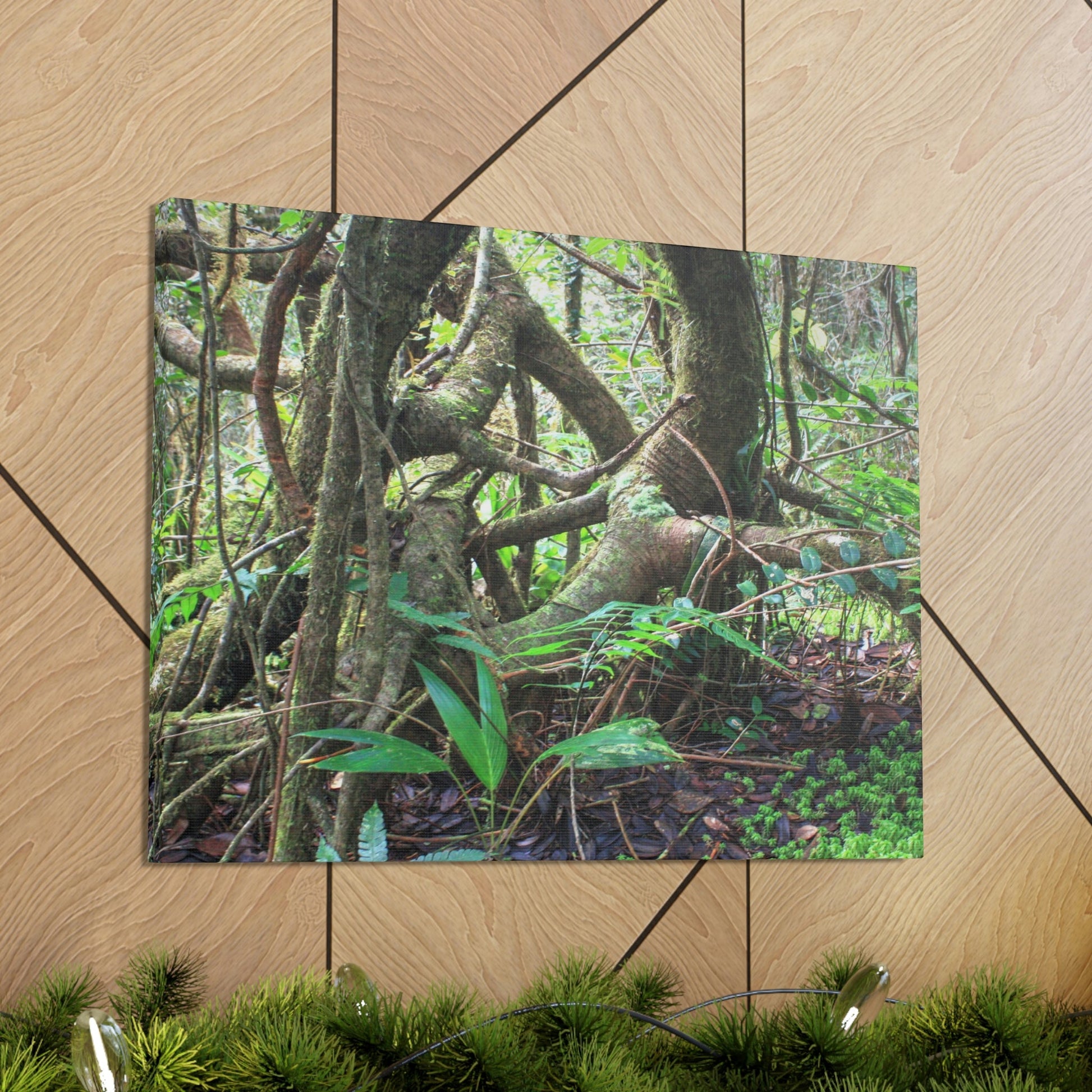 EYNF - Canvas Gallery Wraps - The Dancing trees in Tradewinds trail - El Yunque rainforest PR - Green Forest Home
