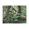 EYNF - Canvas Gallery Wraps - The Dancing trees in Tradewinds trail - El Yunque rainforest PR - Green Forest Home