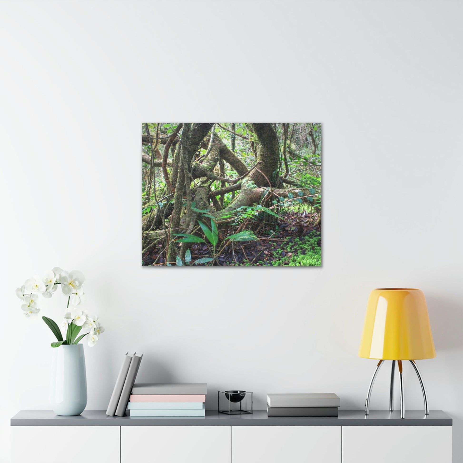 EYNF - Canvas Gallery Wraps - The Dancing trees in Tradewinds trail - El Yunque rainforest PR - Green Forest Home