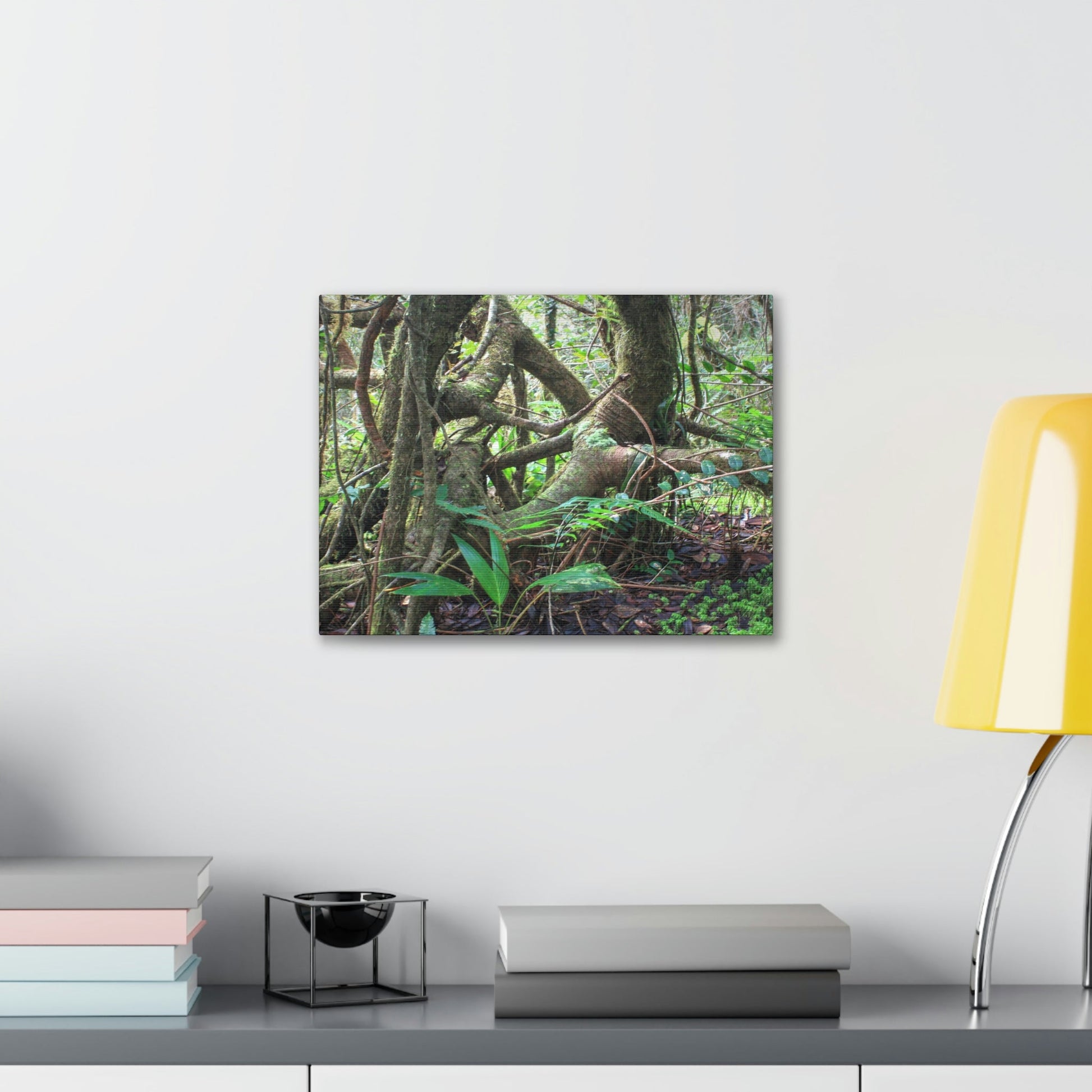 EYNF - Canvas Gallery Wraps - The Dancing trees in Tradewinds trail - El Yunque rainforest PR - Green Forest Home