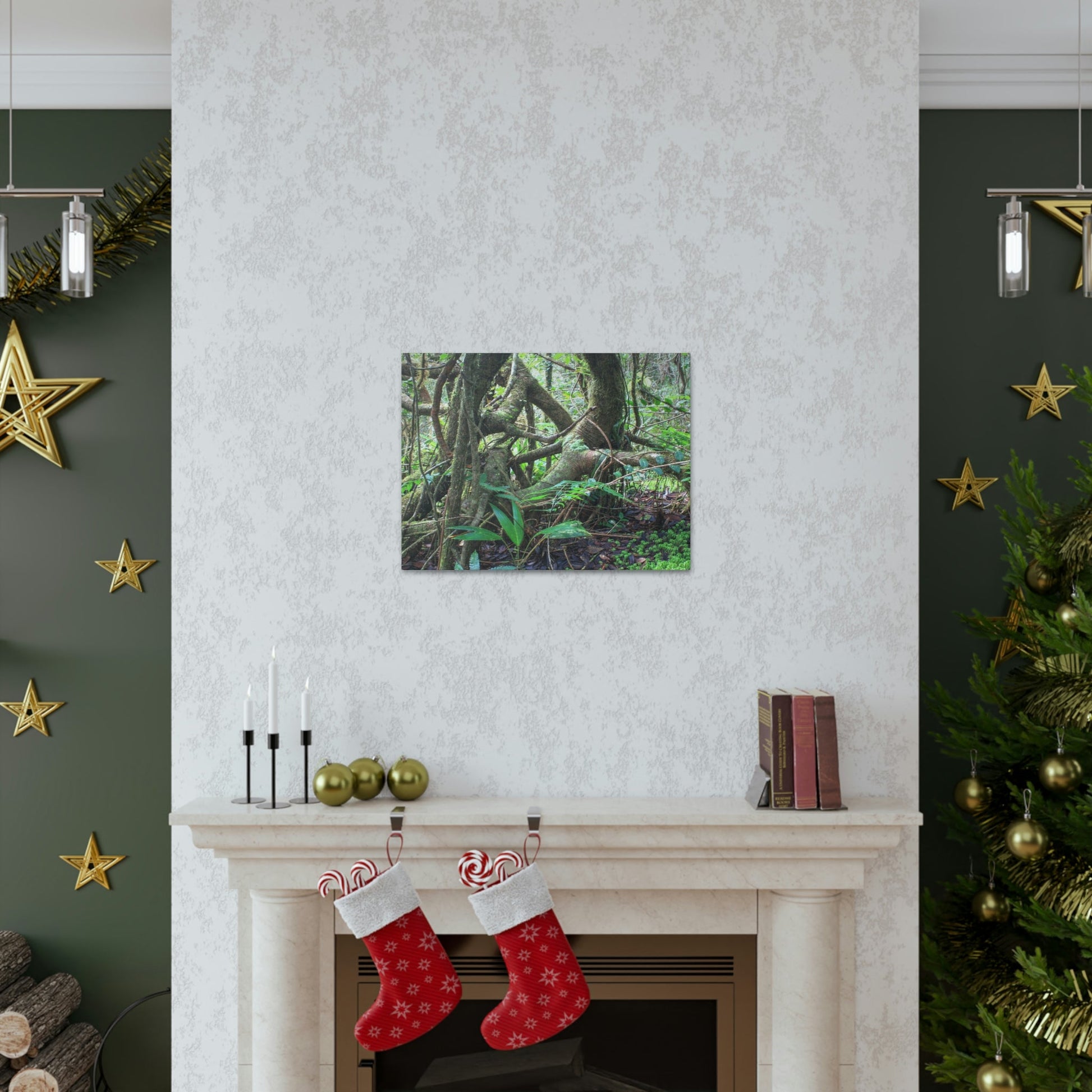 EYNF - Canvas Gallery Wraps - The Dancing trees in Tradewinds trail - El Yunque rainforest PR - Green Forest Home
