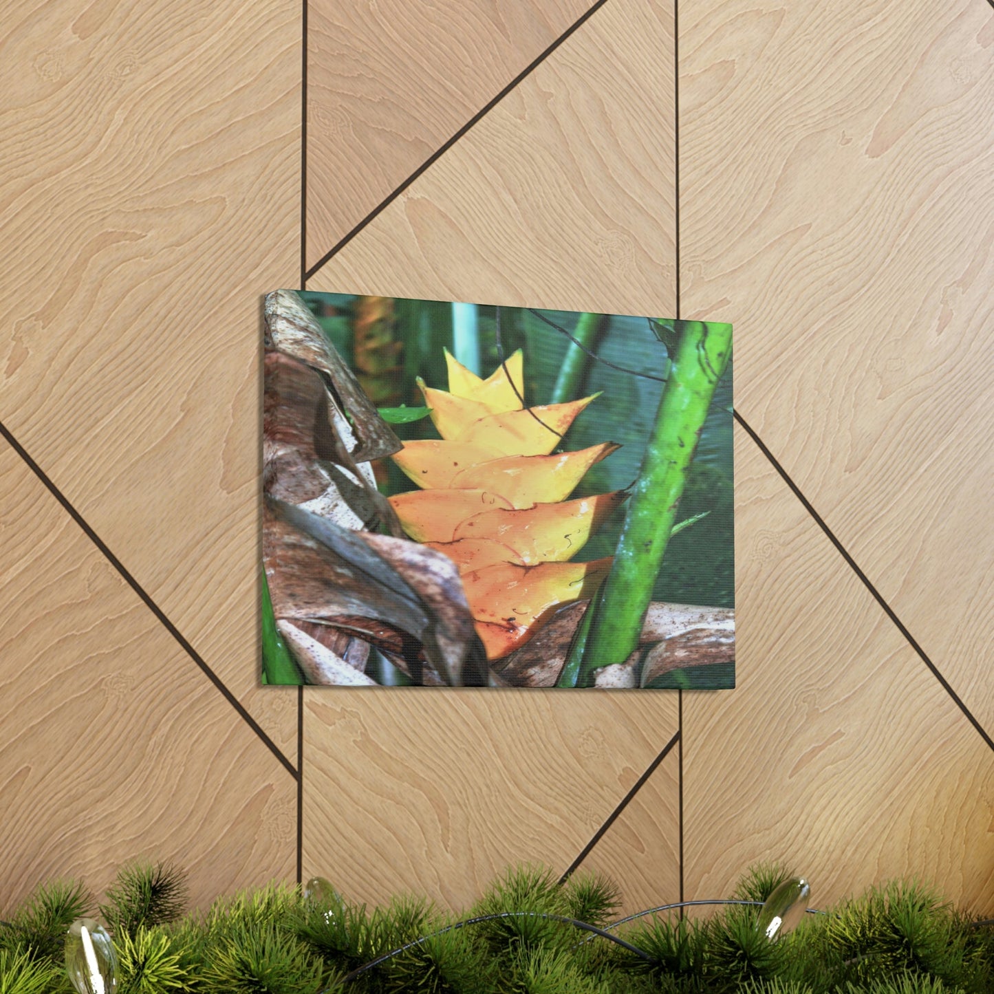 EYNF - Canvas Gallery Wraps - The Heliconia tropical flower - closed PR 191 road - El Yunque rainforest PR - Green Forest Home