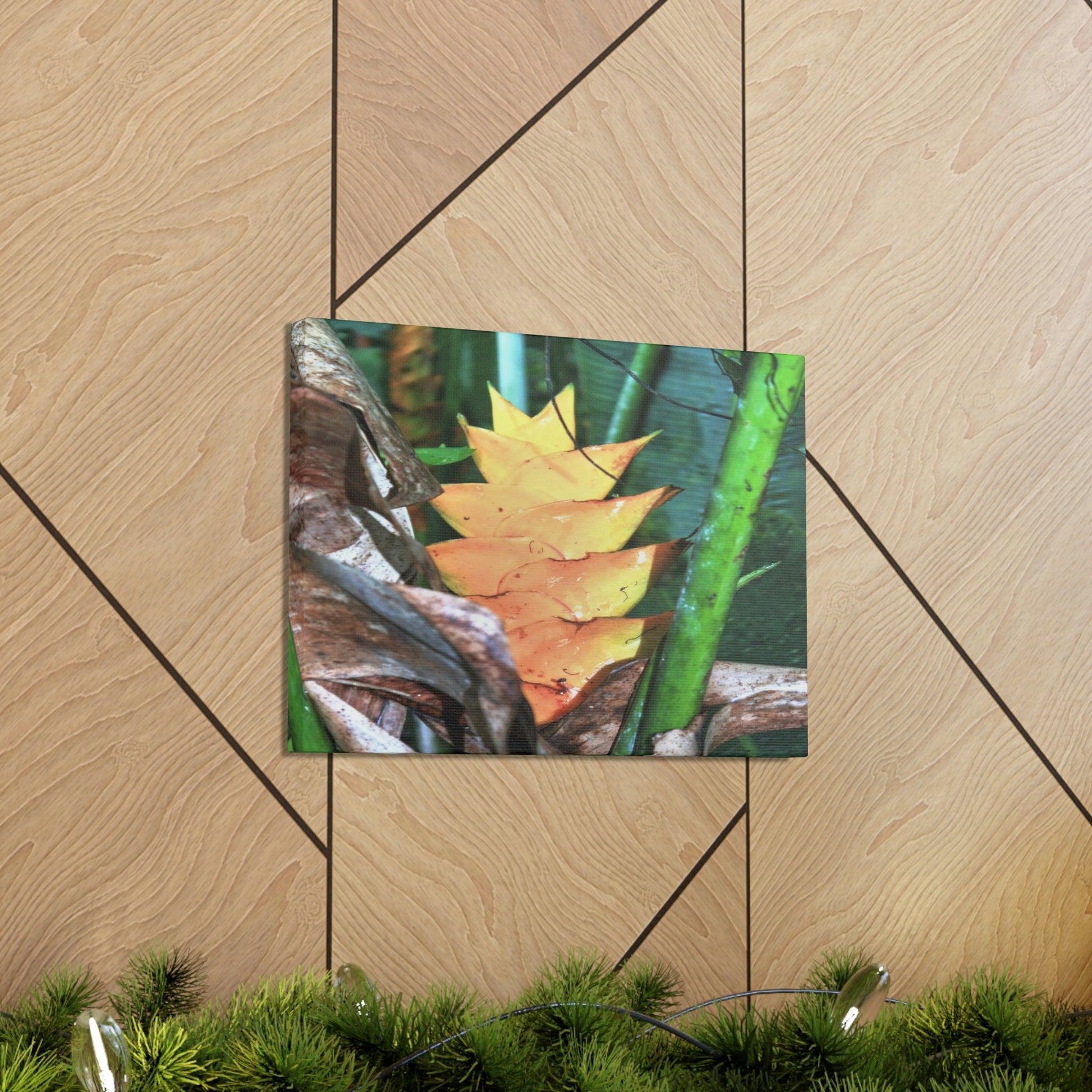 EYNF - Canvas Gallery Wraps - The Heliconia tropical flower - closed PR 191 road - El Yunque rainforest PR - Green Forest Home
