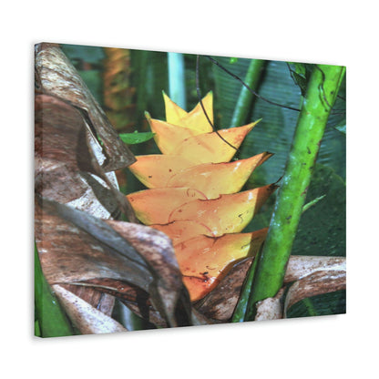 EYNF - Canvas Gallery Wraps - The Heliconia tropical flower - closed PR 191 road - El Yunque rainforest PR - Green Forest Home