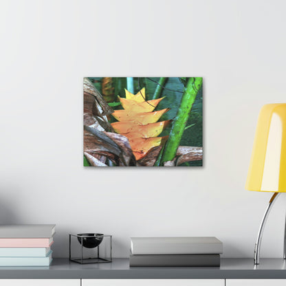 EYNF - Canvas Gallery Wraps - The Heliconia tropical flower - closed PR 191 road - El Yunque rainforest PR - Green Forest Home