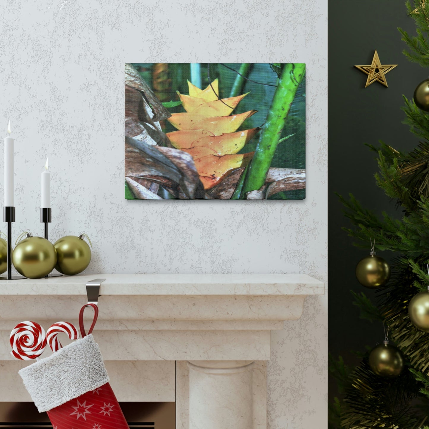 EYNF - Canvas Gallery Wraps - The Heliconia tropical flower - closed PR 191 road - El Yunque rainforest PR - Green Forest Home