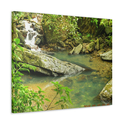 EYNF - Canvas Gallery Wraps - The Magic pond in La Mina river and trail - El Yunque PR - before Hurricane Maria - Green Forest Home