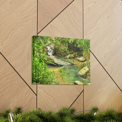 EYNF - Canvas Gallery Wraps - The Magic pond in La Mina river and trail - El Yunque PR - before Hurricane Maria - Green Forest Home
