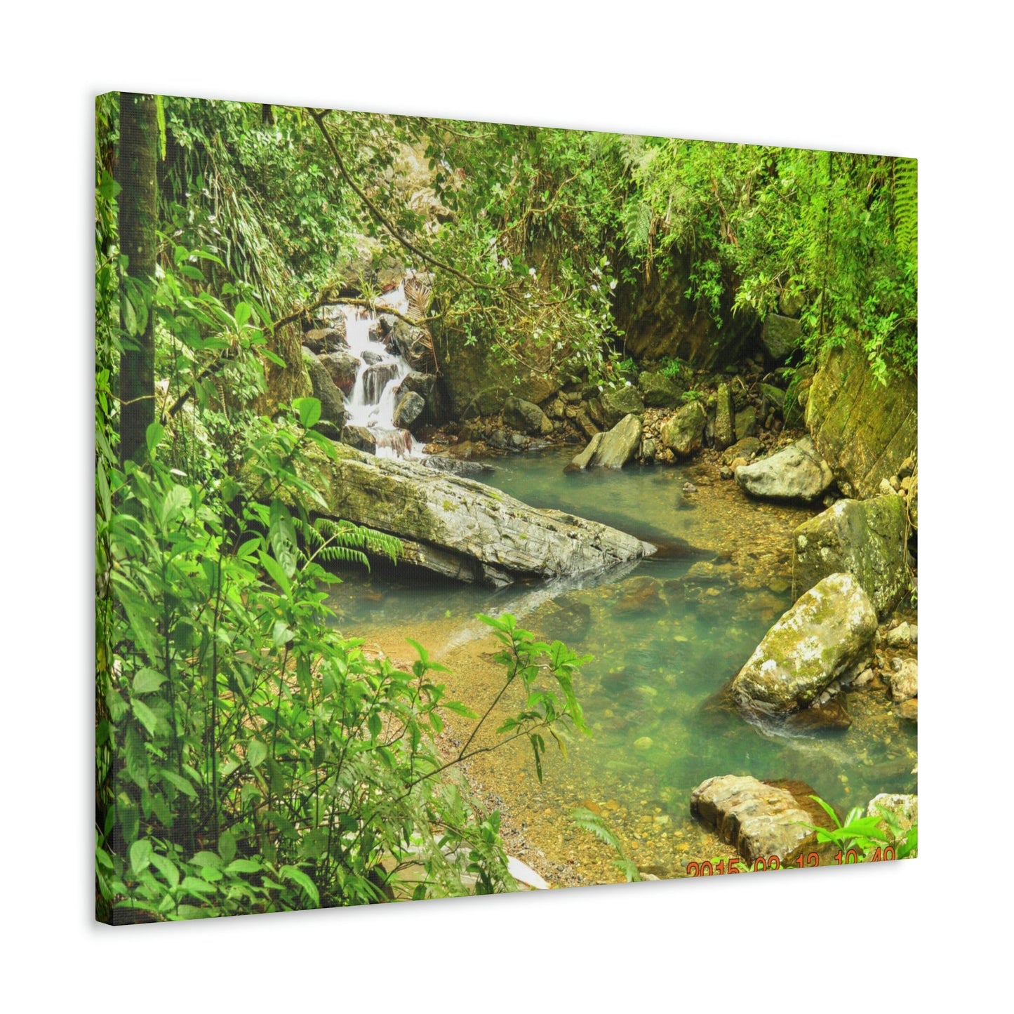 EYNF - Canvas Gallery Wraps - The Magic pond in La Mina river and trail - El Yunque PR - before Hurricane Maria - Green Forest Home