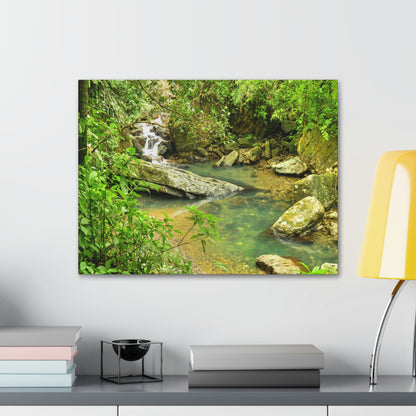 EYNF - Canvas Gallery Wraps - The Magic pond in La Mina river and trail - El Yunque PR - before Hurricane Maria - Green Forest Home